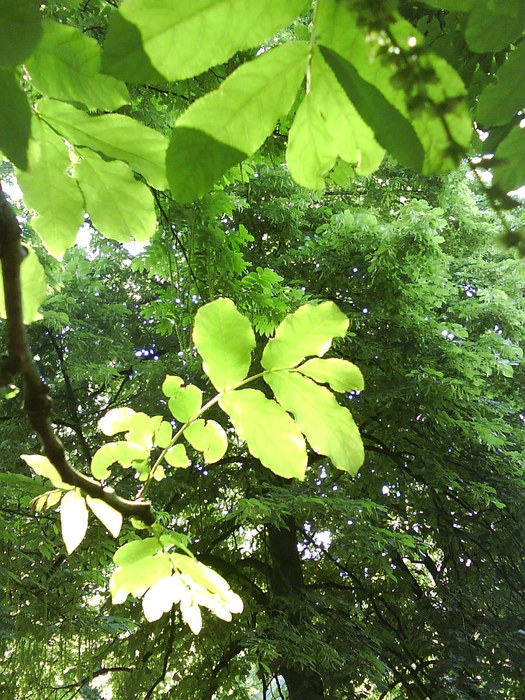 dsc00148